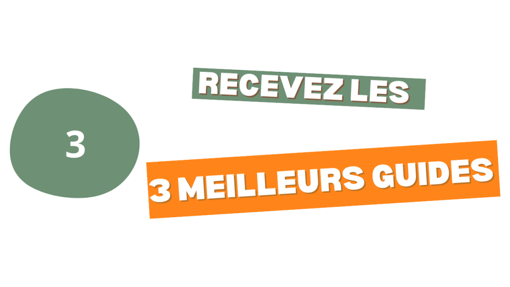 Recevez gratuitement une sélection des 3 meilleurs guides correspondant à votre recherche.